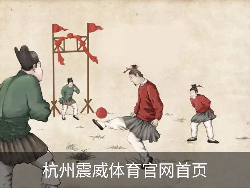 杭州震威体育官网首页品牌故事